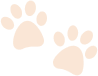 Início 9 shape1 2