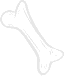 Início 12 shape1 5
